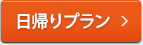 日帰りプラン