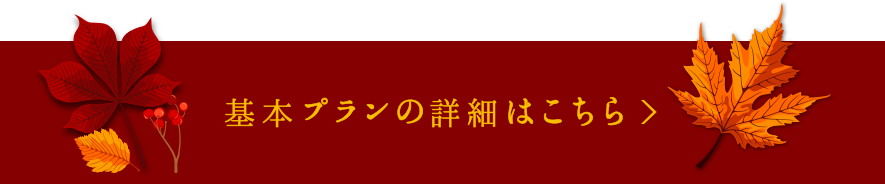 基本プランの詳細はこちら >