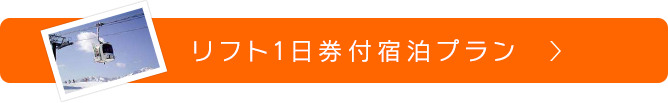 リフト1日券付宿泊プラン