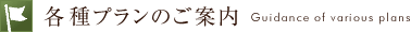 各種プランのご案内