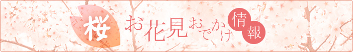 北陸の桜お花見-banner-