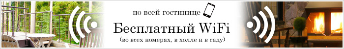 Бесплатный WiFi по всей гостинице (во всех номерах, в холле и в саду).