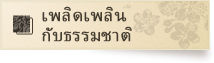 เพลิดเพลินกับธรรมชาติ