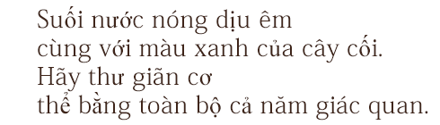 Suối nước nóng dịu êm cùng với màu xanh của cây cối. Hãy thư giãn cơ thể bằng toàn bộ cả năm giác quan.