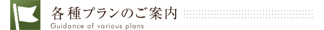 各種プランのご案内