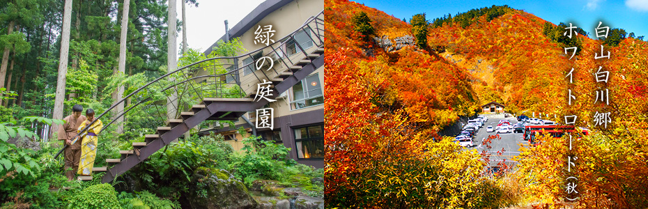 白山の大自然の恵みや癒やしのパワーを享受する