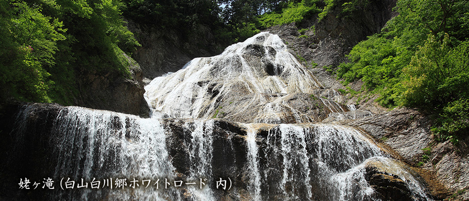 魅力的な観光地に囲まれた白山温泉郷の地の利