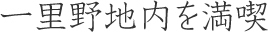 一里野地内を満喫