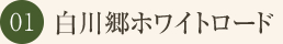 白川郷ホワイトロード